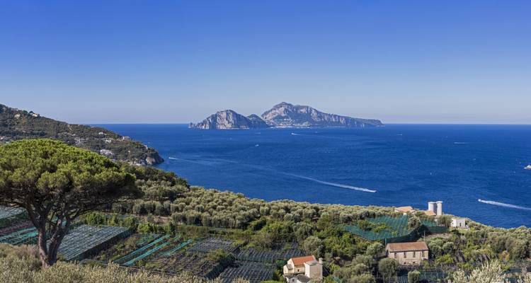Blick über das schimmernde blaue Meer zur Kalksteininsel Capri jenseits von terrassierten Hainen.