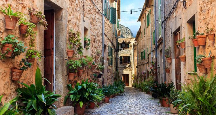 Charmante rue pavée avec des bâtiments en pierre et des plantes en pot.