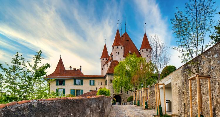 Medieval castle with pointed roof in a scenic setting.