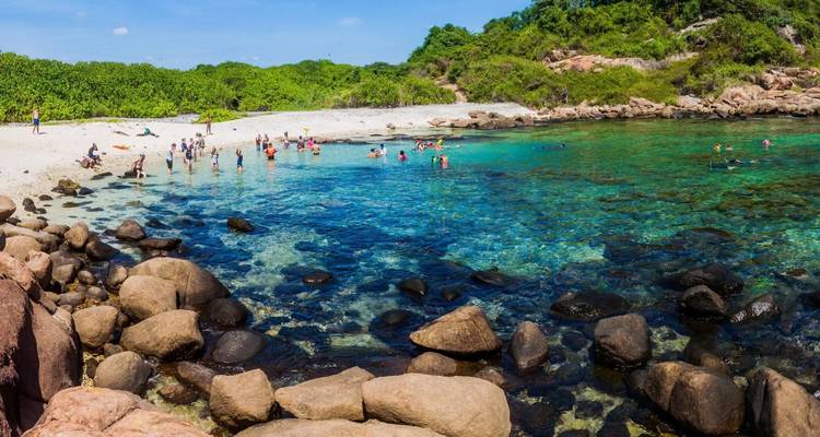 Vue panoramique de nageurs et de plongeurs en apnée dans une baie turquoise éclatante avec un rivage rocheux.
