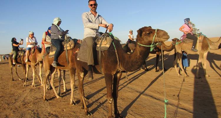 Group of people riding camels in a desert landscape.