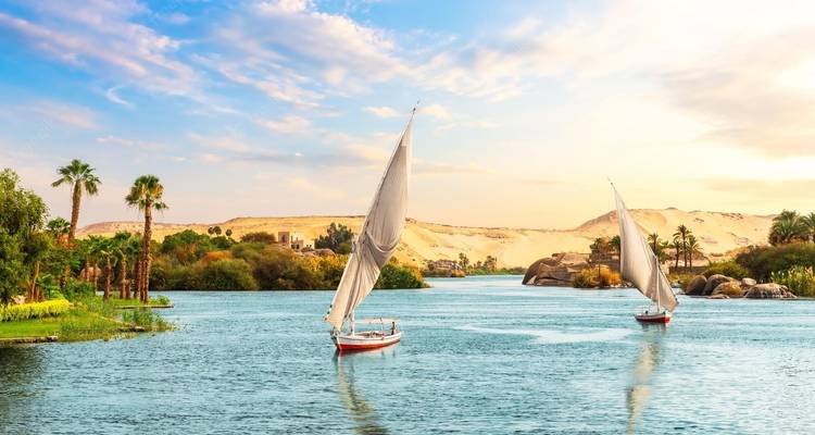 Segelboote auf einem Fluss unter klarem blauen Himmel mit Palmen