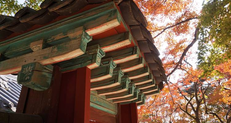 Arquitectura tradicional coreana con follaje otoñal.
