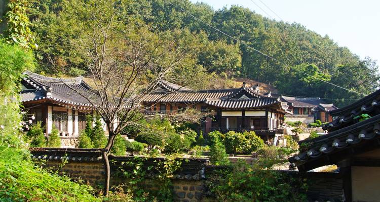Traditionele houten huizen en stenen muren liggen tussen het bladrijke groen in het Hahoe-volksdorp van Zuid-Korea.