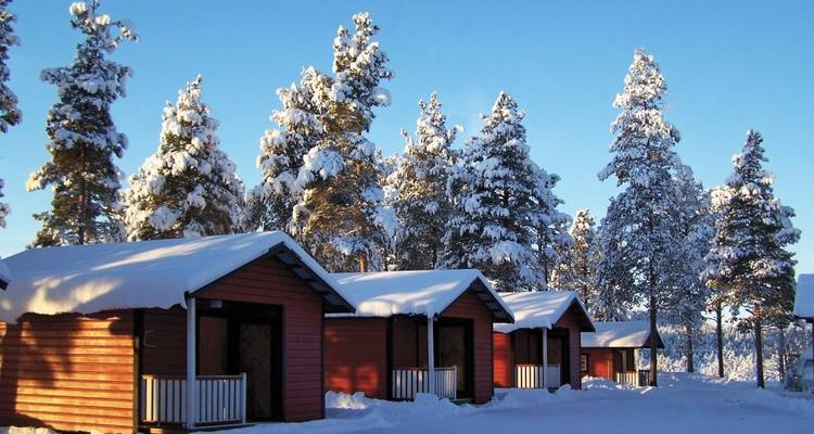 Snow-covered cabins surrounded by tall pine trees under a clear blue sky.