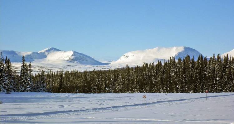 Snowy landscape with distant mountains and trees under a blue sky.