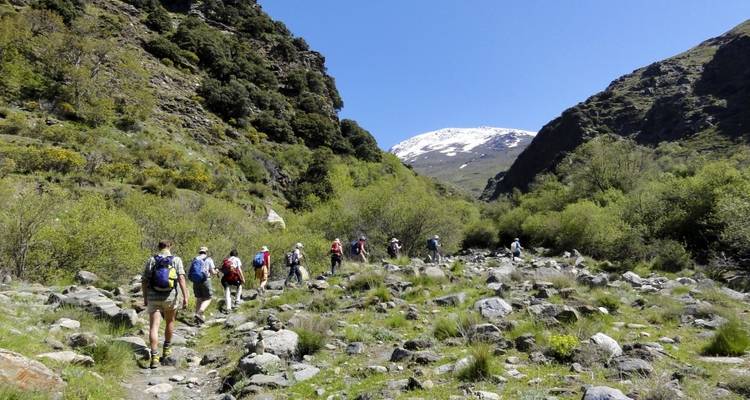 Excursionistas caminando por un sendero de montaña con picos nevados en la distancia.