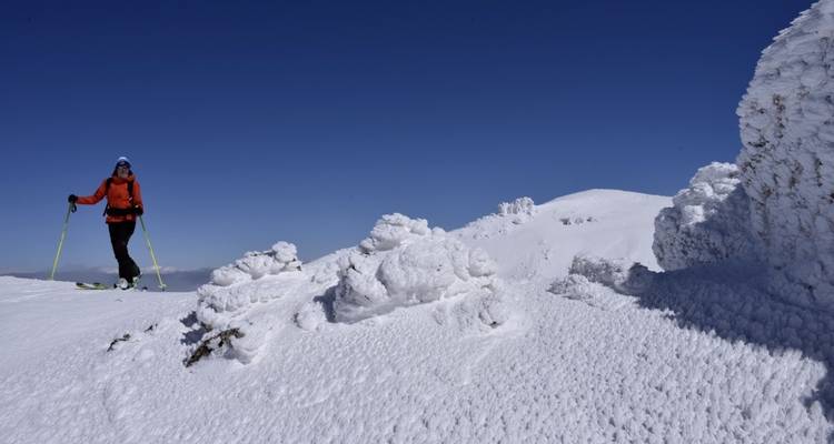 Persona de pie en una cima cubierta de nieve con cielos azules.