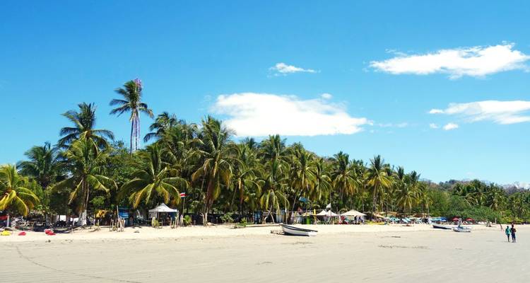 A palm-lined beach with people and small structures under a bright blue sky.