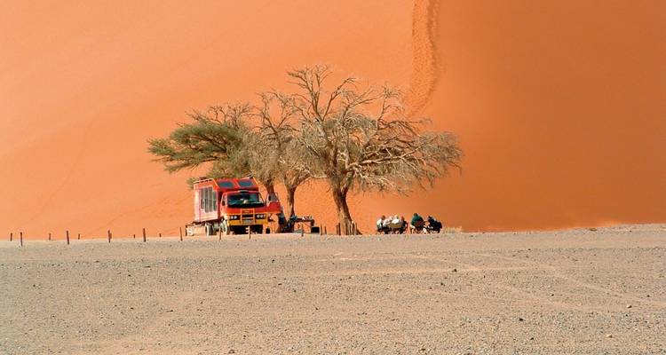 Un groupe de personnes et un camion rouge à côté d'une grande dune de sable avec un arbre dans le désert.