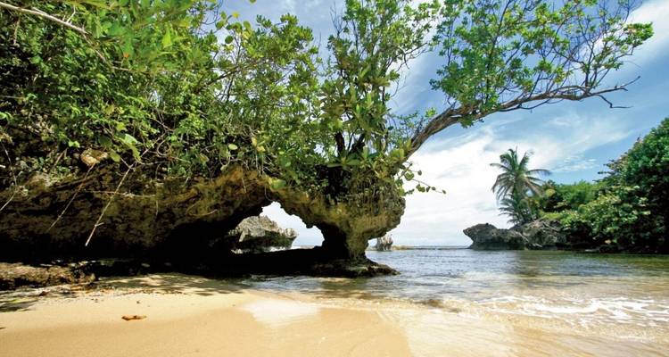 Secluded tropical beach with rock formations and palm trees.