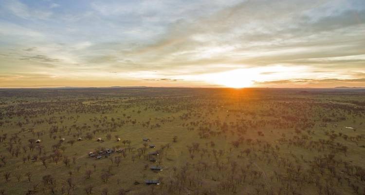 Paisaje extenso al amanecer con árboles dispersos y un pueblo.