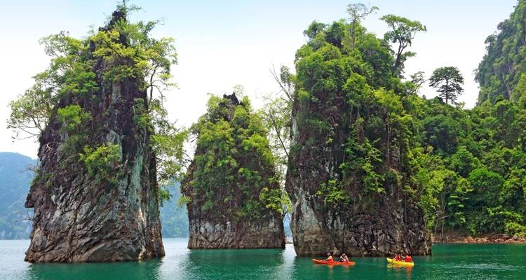 Karsts calcaires couverts d'une végétation luxuriante dans une eau turquoise.