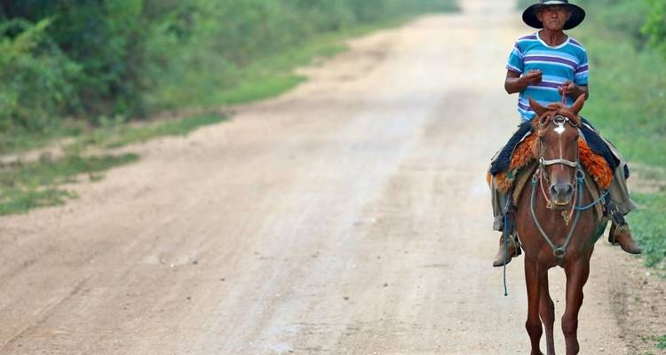 Hombre montando un caballo en un camino de tierra en una zona rural.