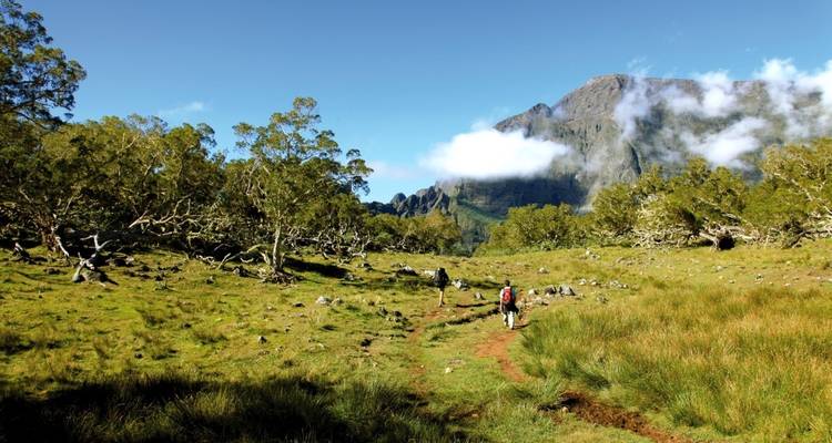Hikers walking in a green valley with mountains in the background.