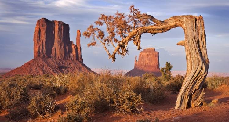 Iconic rock formation with a unique tree in the foreground.