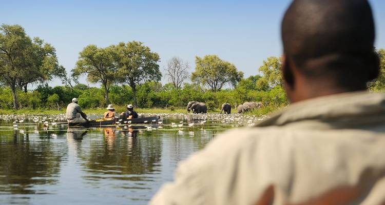 People canoeing on a river with elephants in the background.