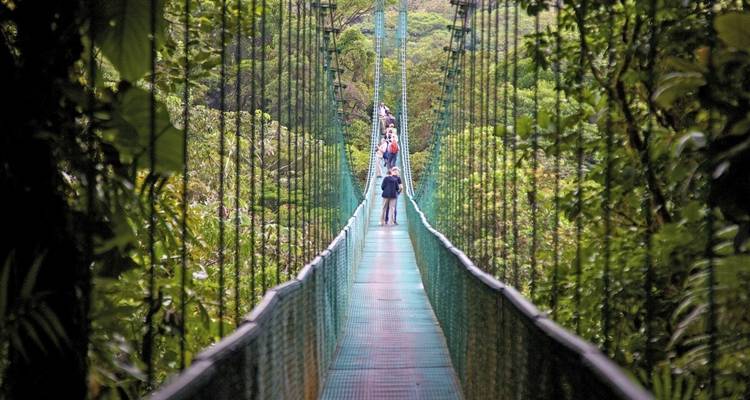 Menschen, die auf einer Hängebrücke in einem dichten Wald gehen.