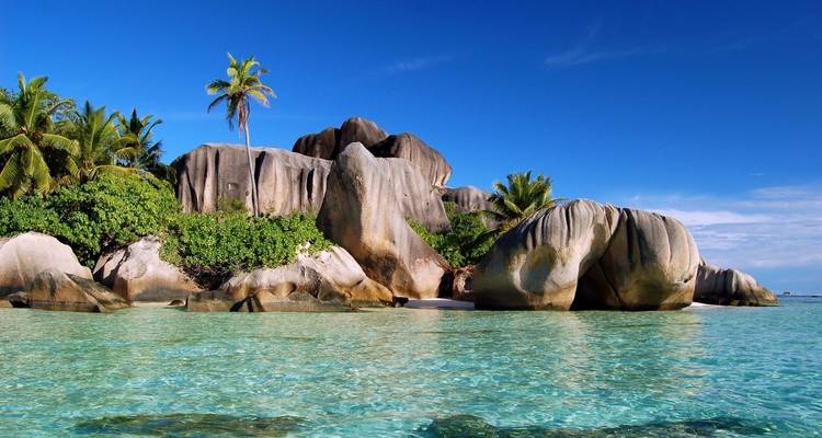 Rotsen en tropische palmbomen op een helder waterstrand.