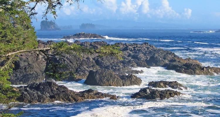 Côte rocheuse avec des vagues s'écrasant contre le rivage.