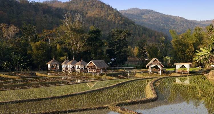 Rizières et huttes dans une vallée pittoresque.