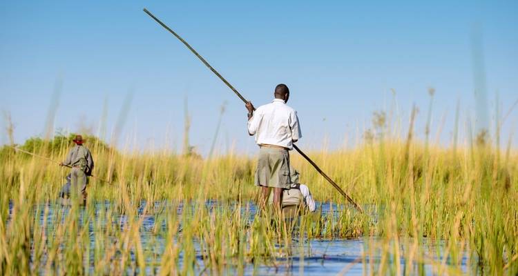 Gente pescando en un río con densos cañaverales.