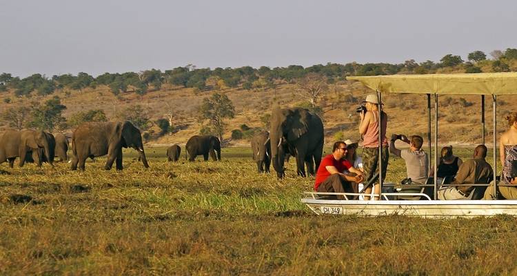 Turistas en un barco observando elefantes en un río.