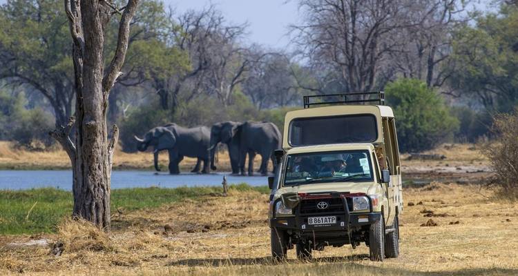 Vehículo de safari en una sabana con elefantes al fondo.