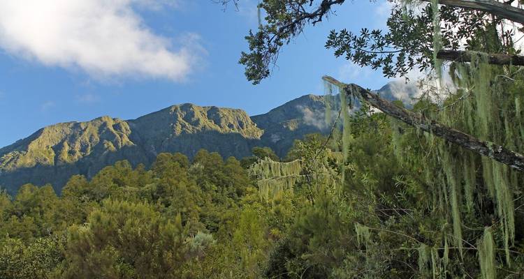 Paisaje montañoso con vegetación exuberante y cielo azul.