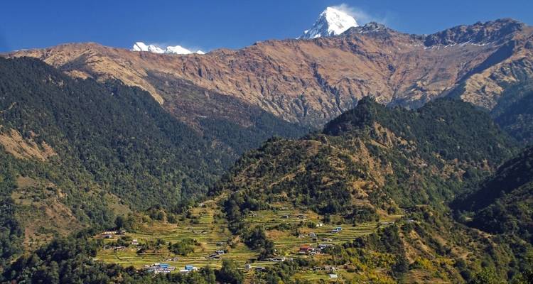 Terraced fields and a village with mountains in the background.