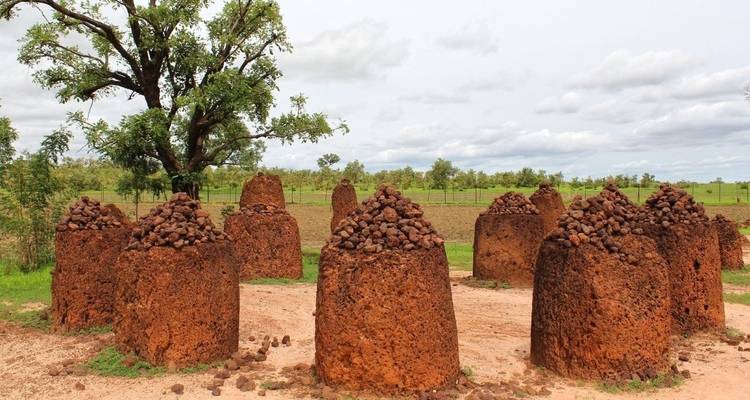 Hormigueros en un campo verde con árboles, bajo un cielo nublado.
