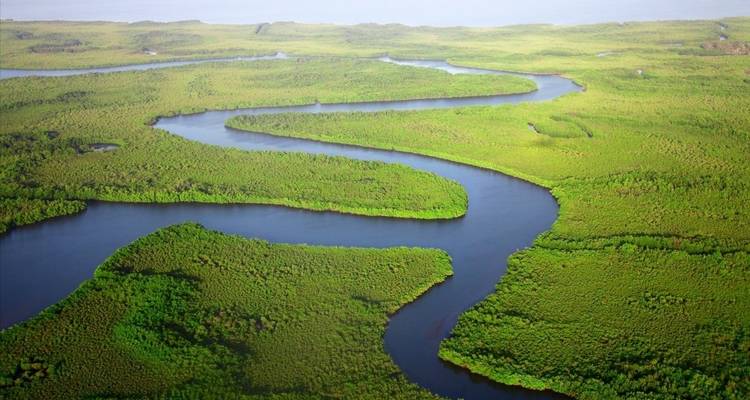 Vista aérea de un río serpenteante a través de un paisaje verde y exuberante.