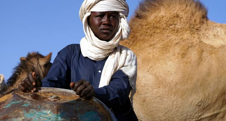 A person in traditional attire standing beside camels.