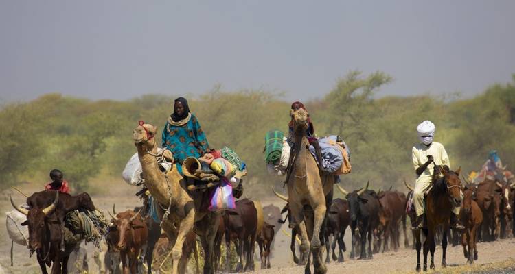 People and animals traveling through the desert.