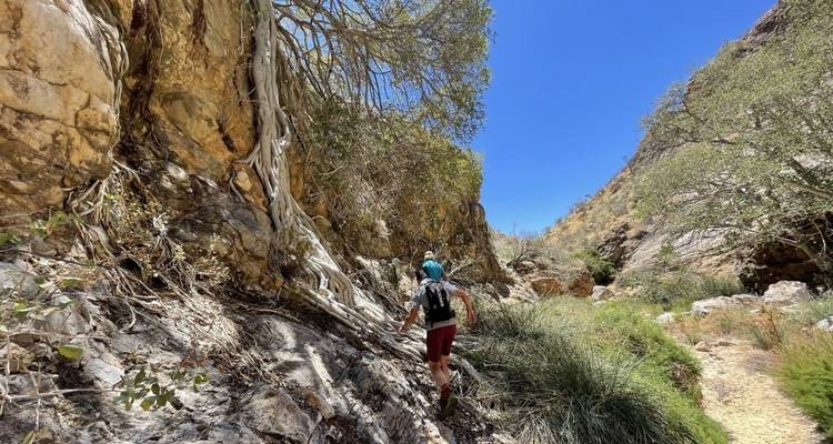 Person hiking along a rocky path with vegetation.