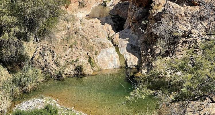 Small pool of green water surrounded by rocky cliffs and trees.