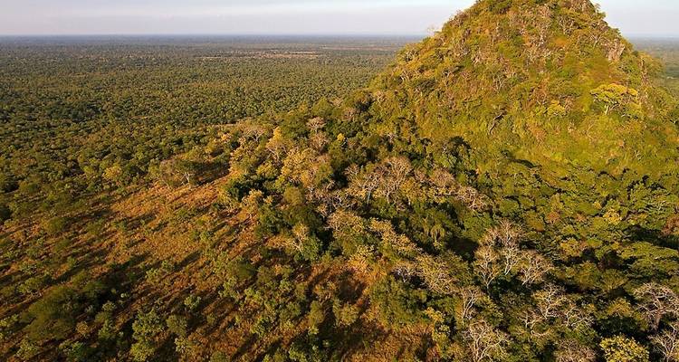 Aerial view of a forested mountain landscape.