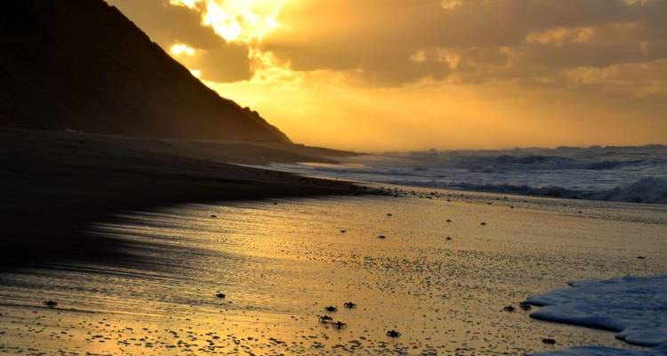 Sunset over a deserted beach with waves crashing onto the shore.