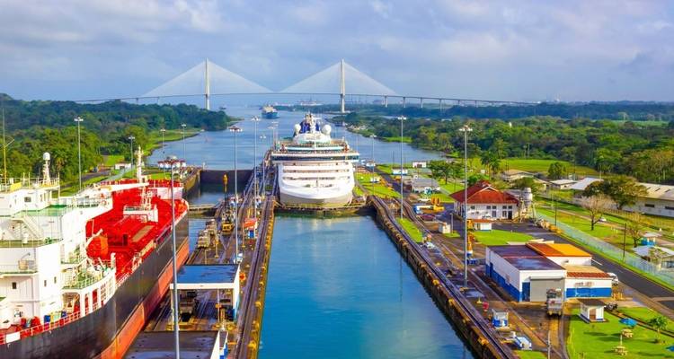 Cruise ship and container ship passing through a canal with a bridge in the background.