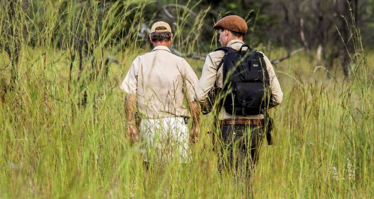 Deux personnes marchant à travers de hautes herbes lors d'un safari.