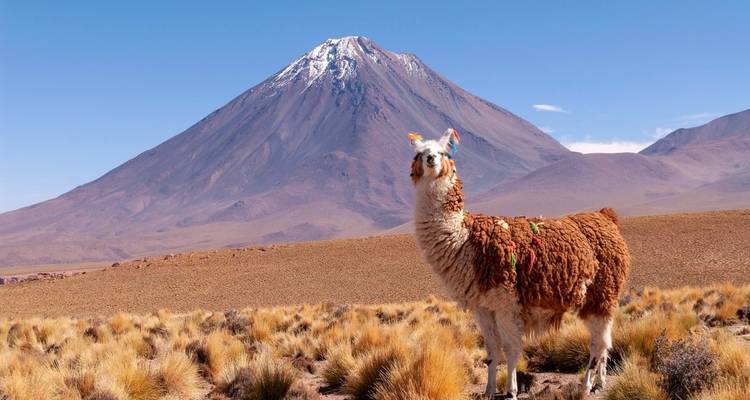 The text you provided is already in Spanish. "Llama in front of a large mountain under a clear sky" would be the English version.
The Spanish text "Llama in front of a large mountain under a clear sky" translates to English as:
"Llama in front of a large mountain under a clear sky"
Wait, I notice there might be some confusion. The text you provided appears to be in English, not Spanish. If you want me to translate "Llama in front of a large mountain under a clear sky" from English to Spanish,