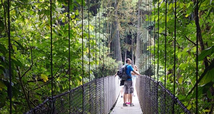Menschen stehen auf einer Hängebrücke, umgeben von dichtem grünem Wald.
