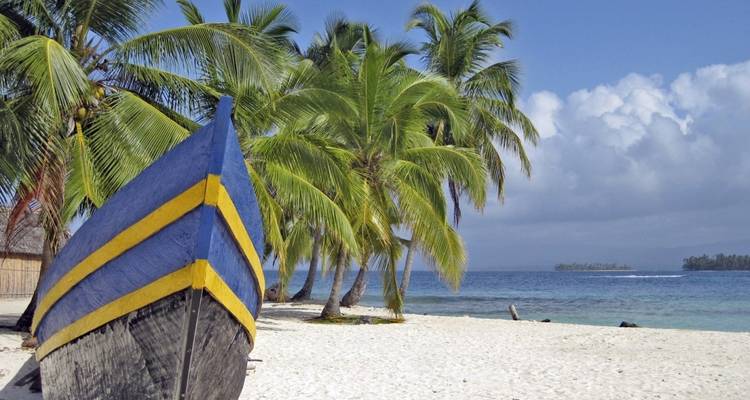 Ein tropischer Strand mit einer Palme und einem Holzboot im Sand.