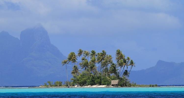 Pequeña isla con palmeras de coco rodeada de agua turquesa.