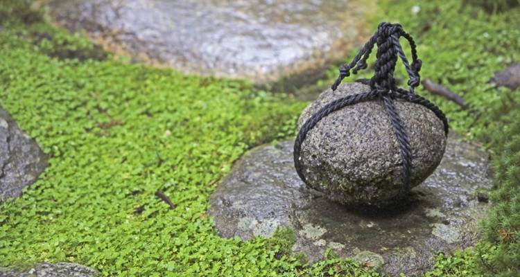 Roca atada con cuerda sobre suelo cubierto de musgo