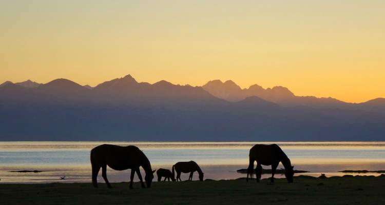 Silhouette of horses grazing by a lake with mountains in the distance.