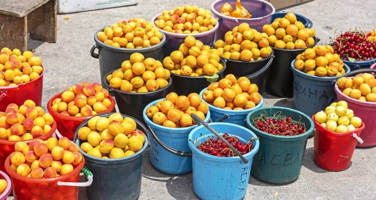 Buckets of fresh fruits including apricots and cherries at an outdoor market.