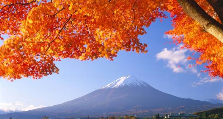 Der Fujisan hinter leuchtend buntem Herbstlaub.
