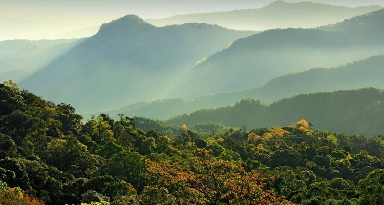 Sun rays filtering through dense green mountains.