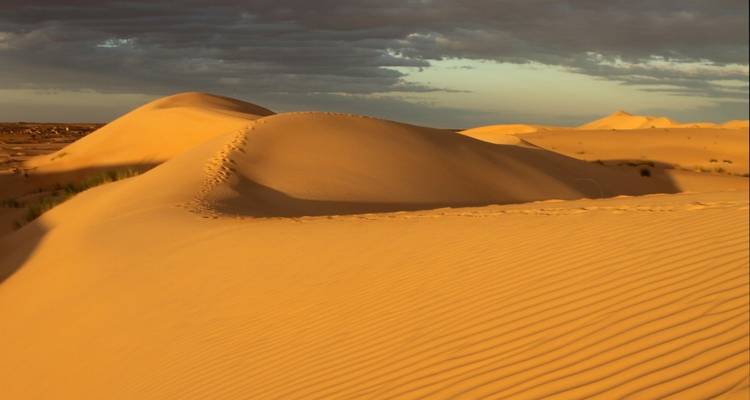 Sand dunes with shadows during sunset.